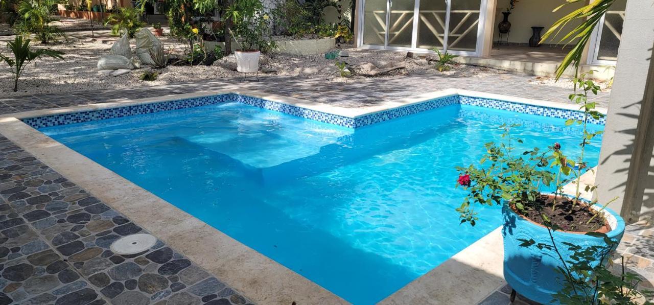 Casita De Las Flores San Jose de Ocoa 外观 照片